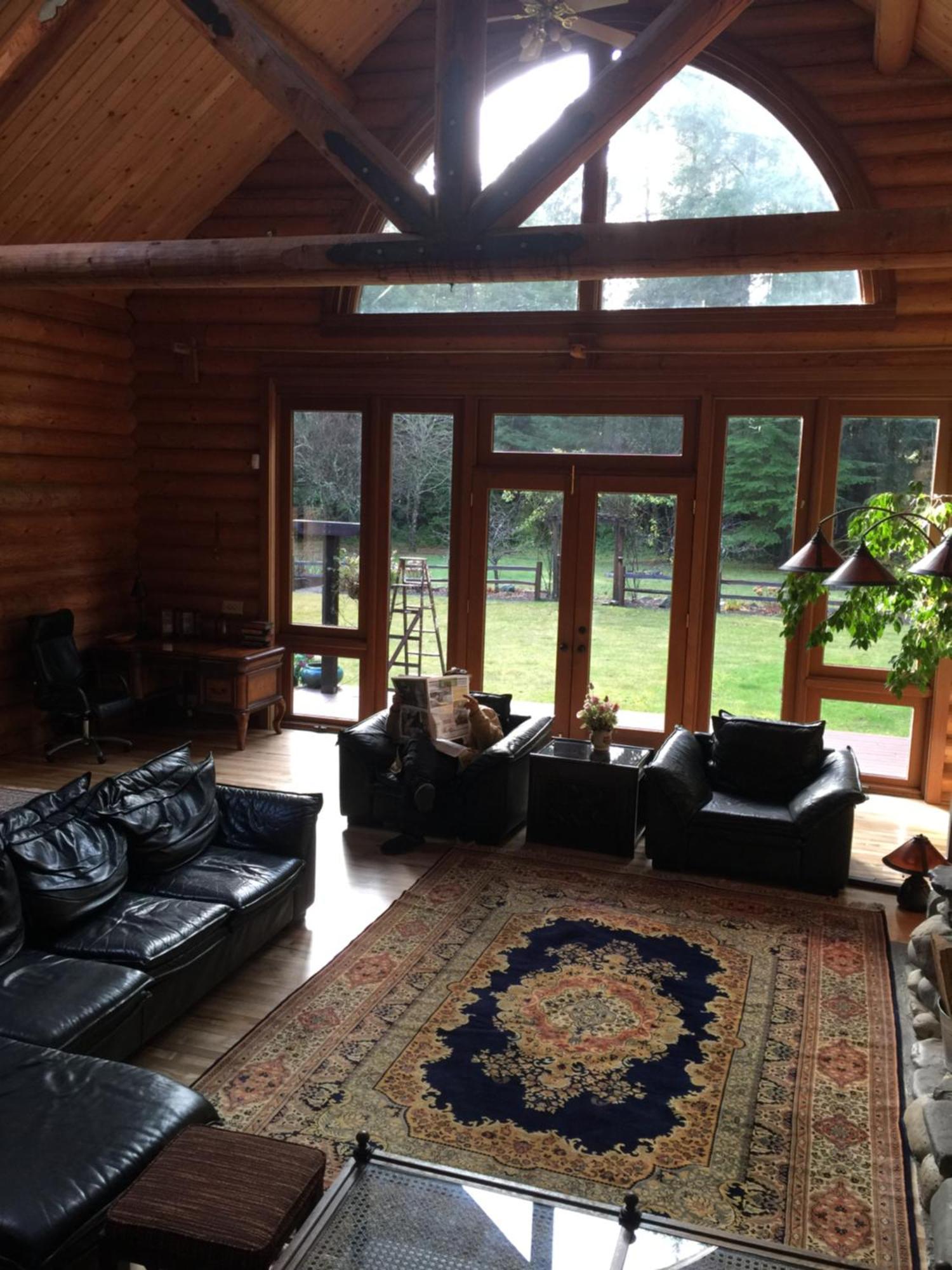 Redwood Forest Crescent City Bilik gambar