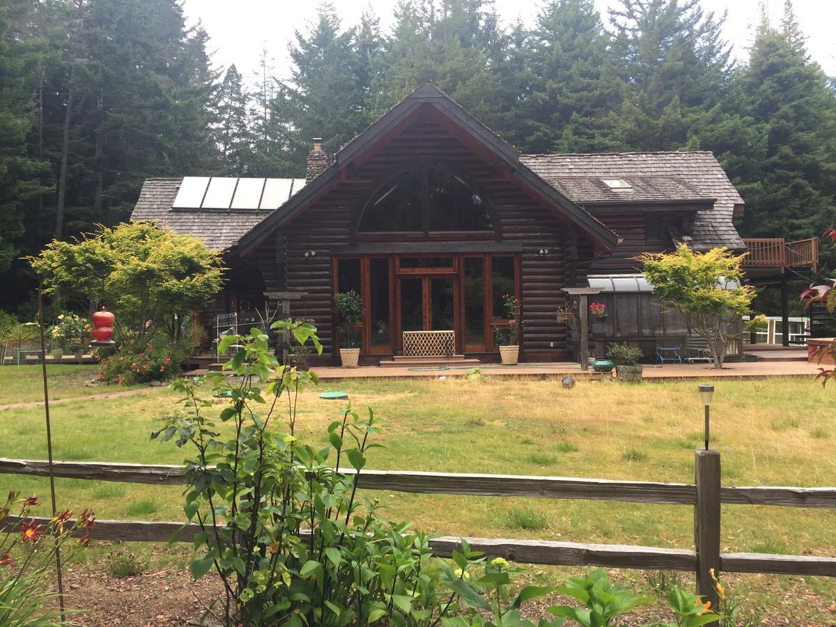 Redwood Forest Crescent City Luaran gambar